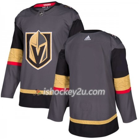 Mænd NHL Vegas Golden Knights Trøje Blank Adidas 2017-2018 Grå Authentic